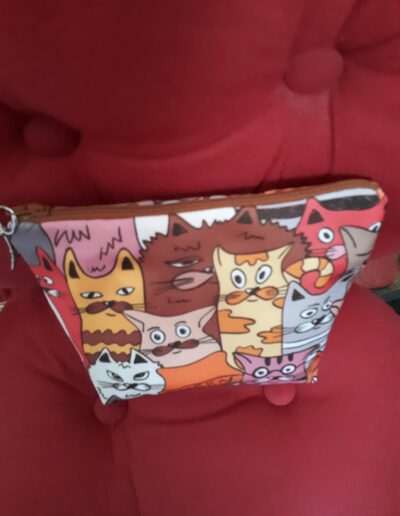 Trousse chats