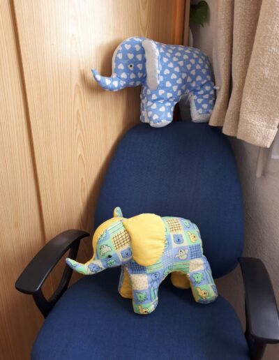 Éléphants